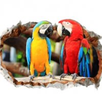 3d Красиви папагали дупка стена самозалепващ стикер лепенка, снимка 2 - Други - 27508192