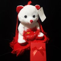 Комплект Колие + Плюшено мече + Кутийка Подарък за жена за Свети Валентин, снимка 3 - Романтични подаръци - 44110287
