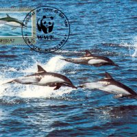 Монтсерат 1990 - 4 броя Карти Максимум - WWF, снимка 2 - Филателия - 38890706