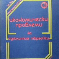 Икономически проблеми на едноличния търговец Дария Маврудиева, снимка 1 - Специализирана литература - 28173476