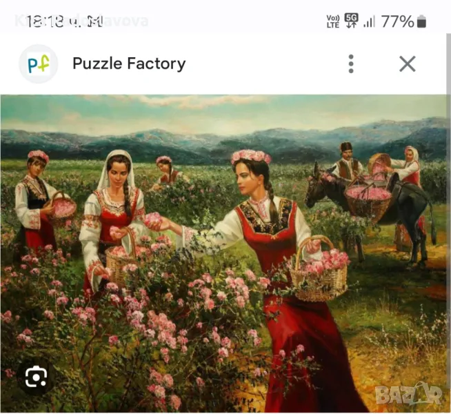 Розоберачки , снимка 1