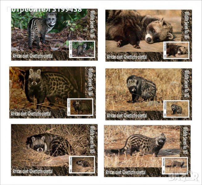 Чисти блокове Фауна Африканска цивета 2020 от Тонго, снимка 1