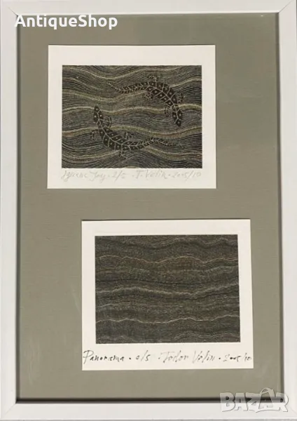 Картина, игуана, репродукция, фотографски печат, Тодор, Велин, Todor Velin, аборигенска, живопис, снимка 1