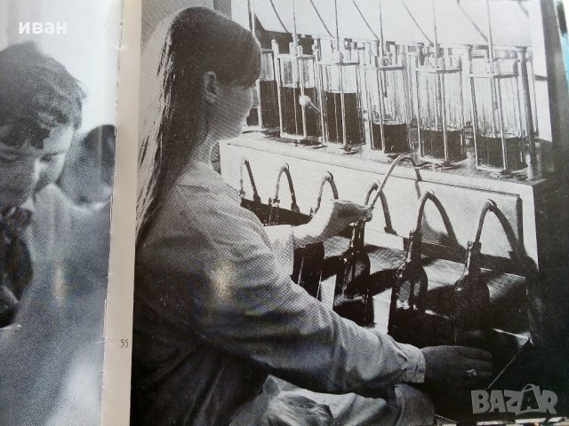 От Ком до Дунав - С.Гергов,З.Димитров,Й.Тодоров , снимка 7 - Енциклопедии, справочници - 33542250