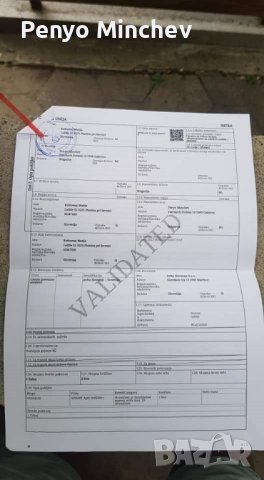 Пчелни семейства (малки) Отводка карника Carnica, снимка 3 - Други - 43328043