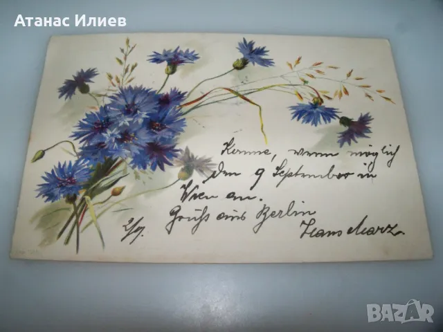 Красива австрийска пощенска картичка цветя, 1899г., снимка 3 - Филателия - 49600625
