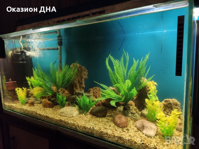 Обурудване за аквариум помпа Bluware,нагреватеел Bluclima,авт.хранилка, снимка 10 - Оборудване за аквариуми - 43212884