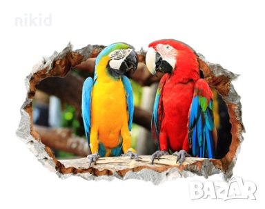 3d Красиви папагали дупка стена самозалепващ стикер лепенка, снимка 2 - Други - 27508192