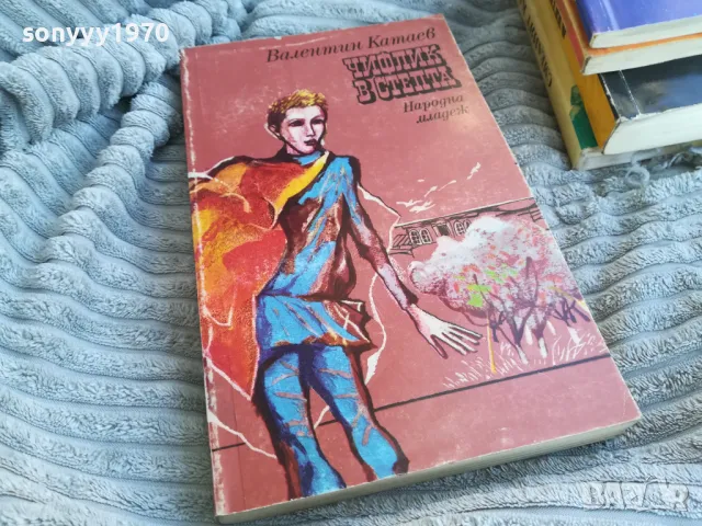 ЧИФЛИК В СТЕПТА 0701251818