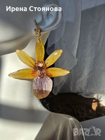 Обеци с естествен цвят на орхидея Камбриа, снимка 3 - Обеци - 52364889