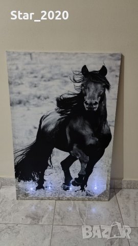 Светеща картина с LED осветление - черен кон 🐎, снимка 2 - Картини - 40606695