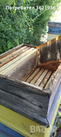 Пчелен мед натурален от с. Пчела., снимка 4 - Пчелни продукти - 51311027