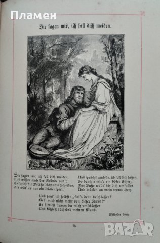 Книга на старонемски език /1860/, снимка 6 - Антикварни и старинни предмети - 44015807