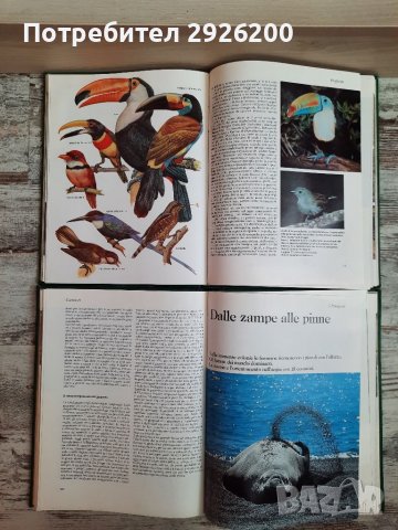 ЕНЦИКЛОПЕДИЯ ЗА ЖИВОТНИ 5БР., снимка 9 - Енциклопедии, справочници - 38065436