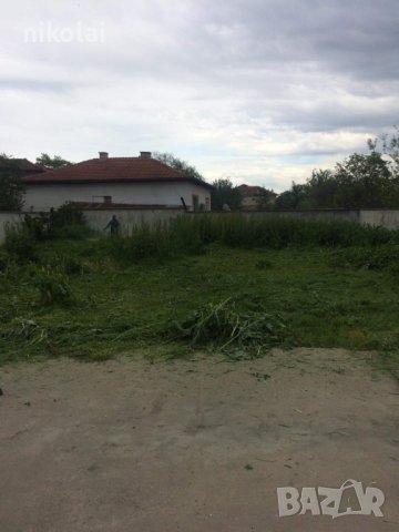 Кося тревни площи в Пазарджик и региона