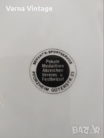 Колекционерска порцеланова чиния 14.IVV Wandertage 1990 Ruppberg. Pforzheim Германия., снимка 4 - Колекции - 51641008