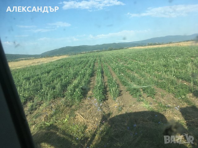 Земеделска земя. Продавам, снимка 2 - Земеделска земя - 43055568