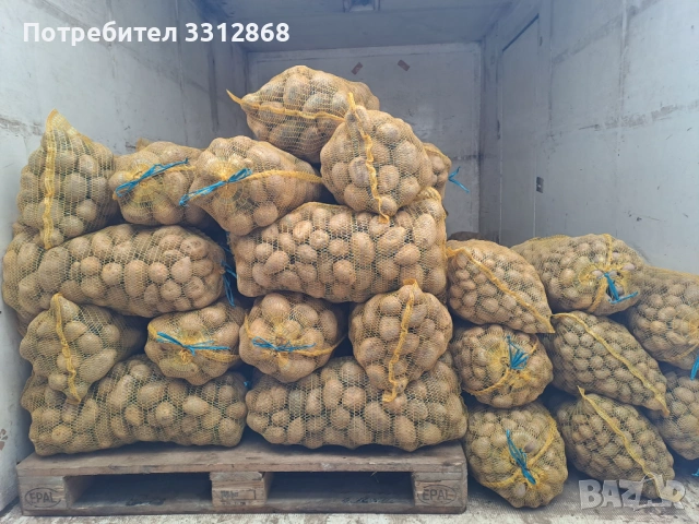 Картофи. РАВНОГОРСКИ, снимка 4 - Обзавеждане на кухня - 53139526