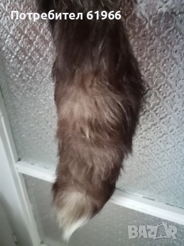 Сребърна богата лисича яка! , снимка 4 - Шалове - 51975368