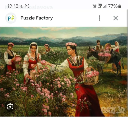 Розоберачки 