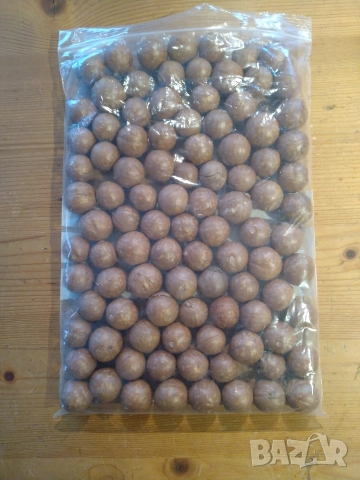 Макадамия с черупка, снимка 2 - Градински цветя и растения - 52864871