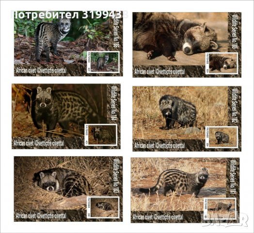 Чисти блокове Фауна Африканска цивета 2020 от Тонго, снимка 1 - Филателия - 37604290