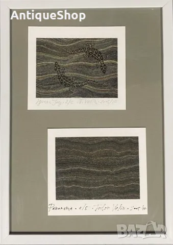 Картина, игуана, репродукция, фотографски печат, Тодор, Велин, Todor Velin, аборигенска, живопис