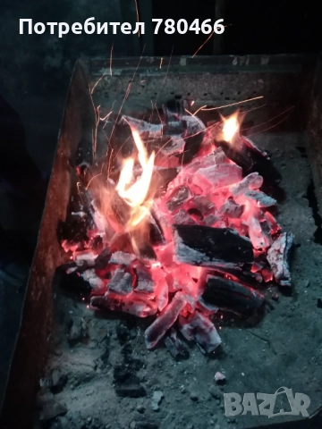 Дървени Въглища, снимка 4 - Барбекюта - 51752262