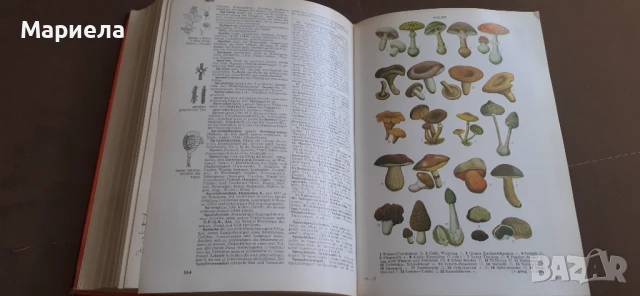 Немска енциклопедия , снимка 4 - Енциклопедии, справочници - 50830154