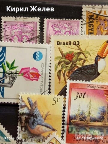 Стари пощенски марки от цял свят смесени МАВРИТАНИЯ,ГВИНЕЯ, ТЧАД за КОЛЕКЦИЯ 51579, снимка 5 - Филателия - 53230500