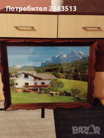 Картина-снимка.