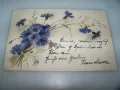 Красива австрийска пощенска картичка цветя, 1899г., снимка 3