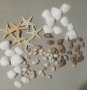 Морски микс малки мидички миди рапани морска звезда охлювчета за декорация украса, снимка 1