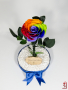 Нестандартен Подарък за Жена / Шарена-Рейнбол Вечна Роза в Голяма Стъкленица / Подарък за Годишнина