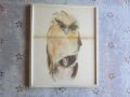 Картина акварел подписана , снимка 4