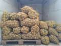 Картофи. РАВНОГОРСКИ, снимка 4