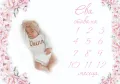 Платно за месечинки/Платно за снимки на бебето/Месечинка, снимка 1