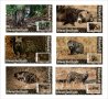 Чисти блокове Фауна Африканска цивета 2020 от Тонго, снимка 1 - Филателия - 37604290