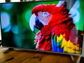 Телевизор Philips 43" 4K Android TV, снимка 1