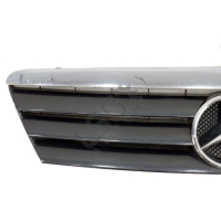 Решетка Mercedes-Benz A-class (W168) 1997-2004 ID: 123903, снимка 3 - Части - 44891064