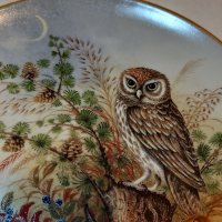 Австрийска порцеланова декоративна чиния сова, снимка 4 - Колекции - 37692757