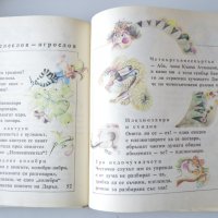 Стара книжка Зарчета Велизарчета , снимка 3 - Българска литература - 28436351