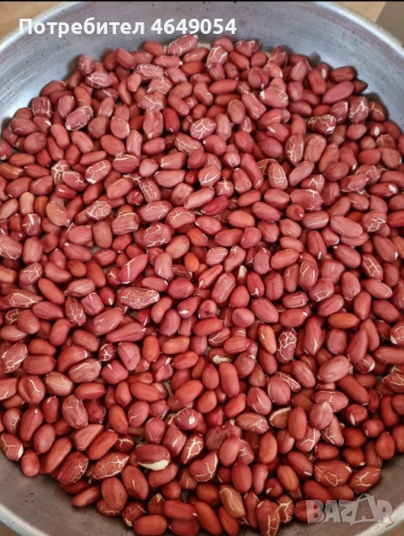 Български фъстъци на едро - сурови и печени, снимка 1