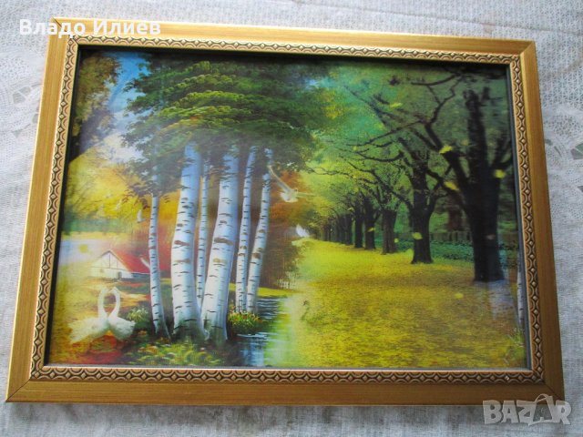 Картини разнообразни, снимка 4 - Картини - 32665722