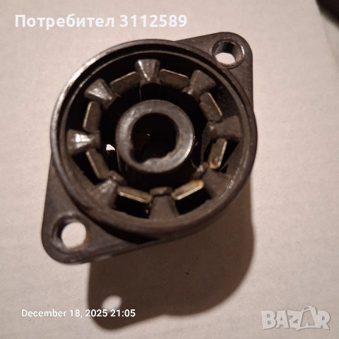 Българси локтал цокъл.