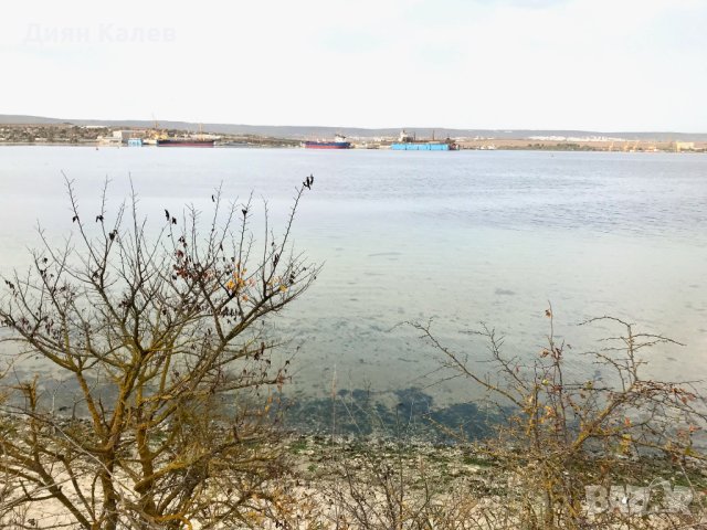  Парцел 4000 кв.м. до варненското езеро, снимка 3 - Парцели - 43729066