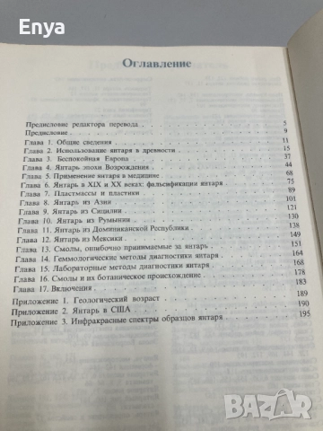 Янтарь - З.Фракей, снимка 2 - Специализирана литература - 52061654