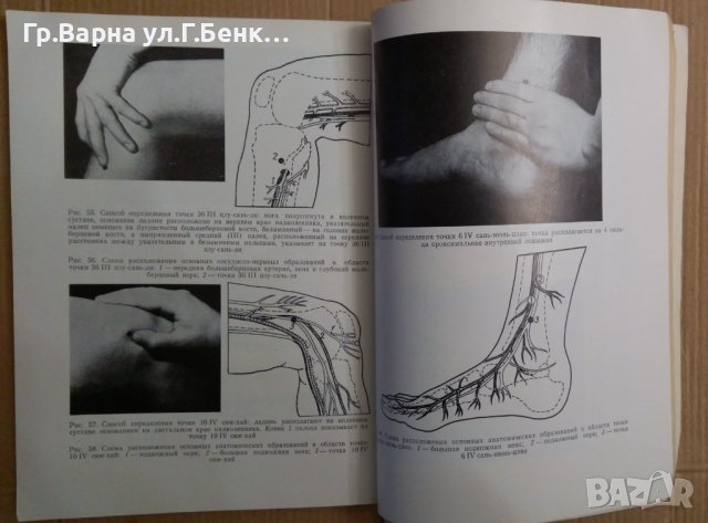 Топографо-анатомические основъи акупунктуръи (на руски) Хлопов Н.А., снимка 4 - Специализирана литература - 43043658