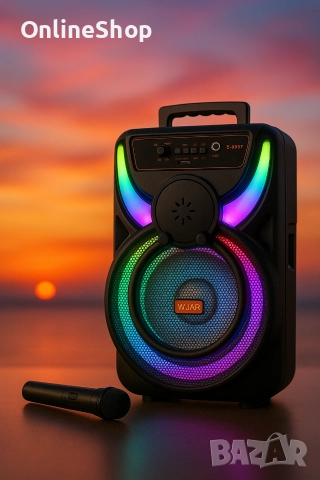 Преносима акумулаторна тонколона -8.5 инча Bluetooth караоке