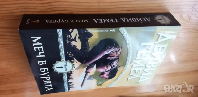 Риганте. Книга 1: Меч в бурята - Дейвид Гемел, снимка 6 - Художествена литература - 51017590